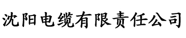 香蕉久久精品国产电缆厂logo